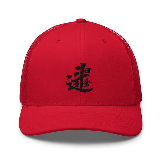 Earn a fortune daily Trucker Cap