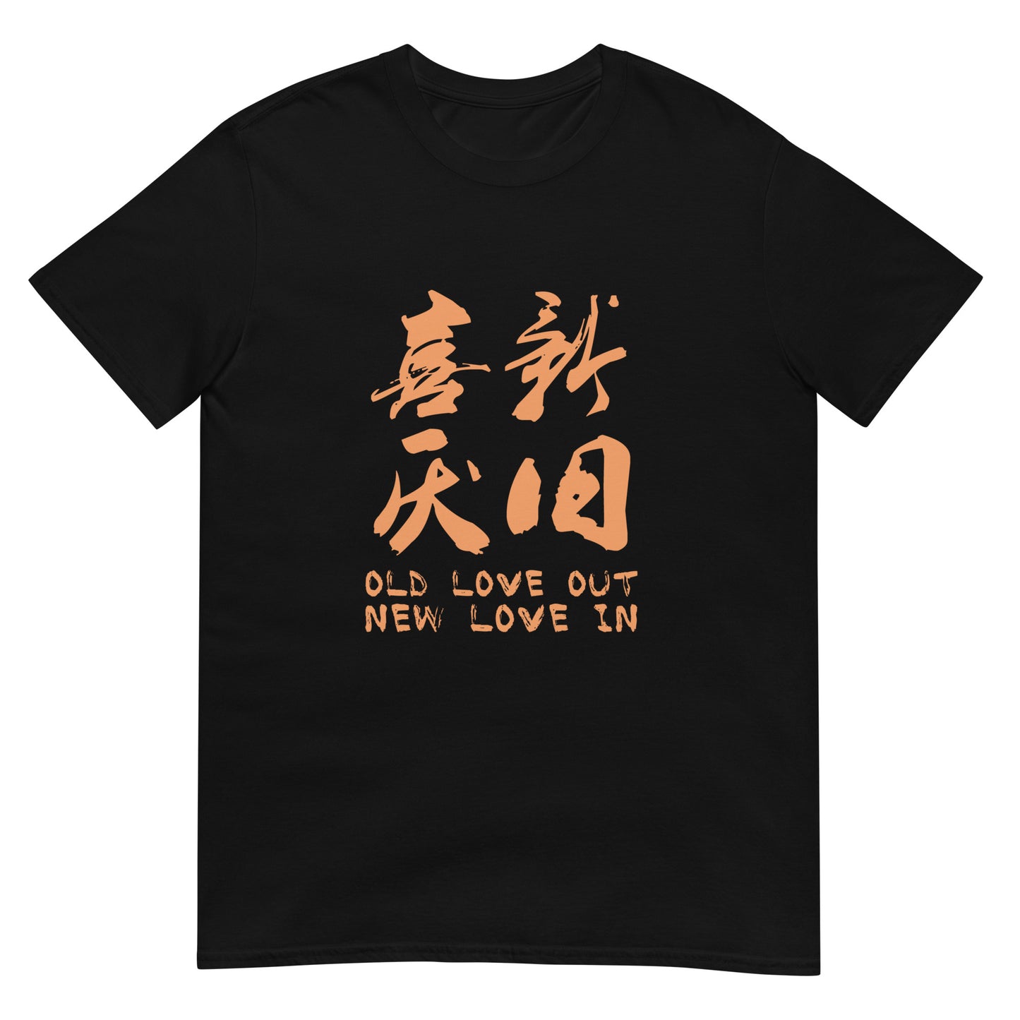 Old love out new love in Women's T-shirt