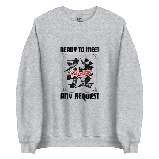 Ready to meet any request Men's crewnecks